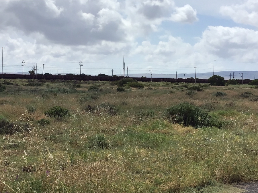 0 Bedroom Property for Sale in Vredenburg Rural Western Cape